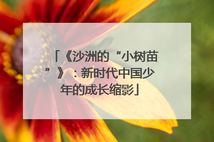《沙洲的“小树苗”》：新时代中国少年的成长缩影