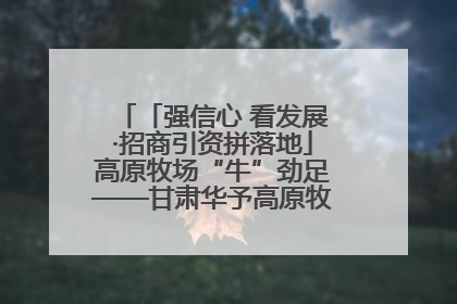 「强信心 看发展·招商引资拼落地」高原牧场“牛”劲足——甘肃华予高原牧场高标准奶牛肉牛养殖项目一线见闻