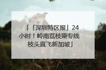 「深圳特区报」24小时！岭南荔枝乘专线 枝头直飞新加坡