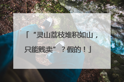 “灵山荔枝堆积如山，只能贱卖”？假的！