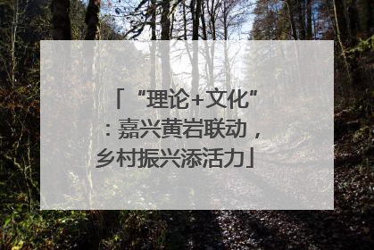 “理论+文化”：嘉兴黄岩联动，乡村振兴添活力
