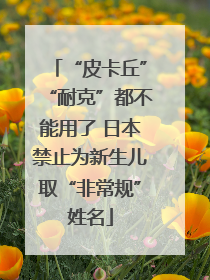 “皮卡丘”“耐克”都不能用了 日本禁止为新生儿取“非常规”姓名