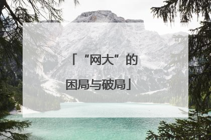 “网大”的困局与破局