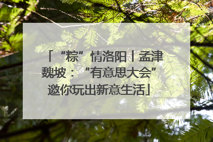 “粽”情洛阳丨孟津魏坡：“有意思大会”邀你玩出新意生活