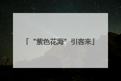 “紫色花海”引客来