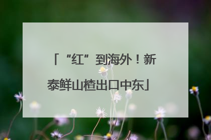 “红”到海外！新泰鲜山楂出口中东