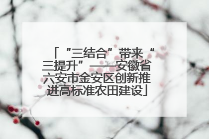 “三结合”带来“三提升”——安徽省六安市金安区创新推进高标准农田建设