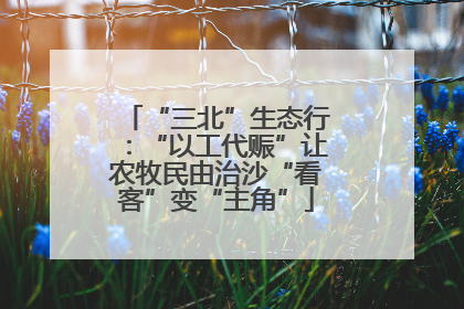 “三北”生态行：“以工代赈”让农牧民由治沙“看客”变“主角”