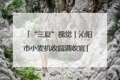 “三夏”视觉｜沁阳市小麦机收圆满收官