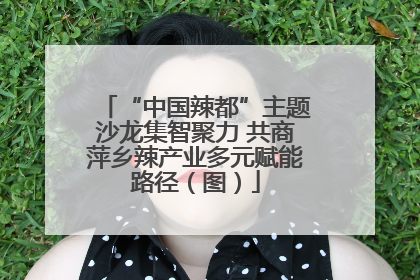 “中国辣都”主题沙龙集智聚力 共商萍乡辣产业多元赋能路径（图）