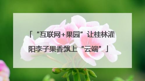 “互联网+果园”让桂林灌阳李子果香飘上“云端”