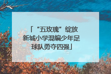 “五玫瑰”绽放 新城小学混编少年足球队勇夺四强
