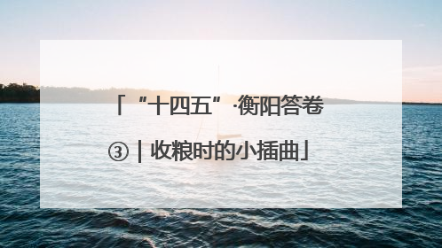 “十四五”·衡阳答卷③｜收粮时的小插曲