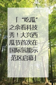 “吃瓜”之余看科技秀！大兴西瓜节首次在国际氢能示范区启幕