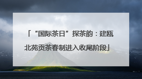 “国际茶日”探茶韵：建瓯北苑贡茶春制进入收尾阶段