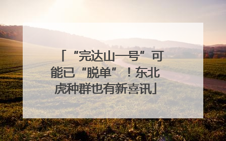 “完达山一号”可能已“脱单”！东北虎种群也有新喜讯
