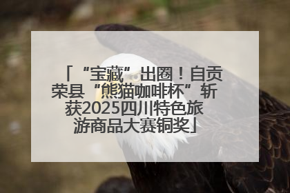 “宝藏”出圈！自贡荣县“熊猫咖啡杯”斩获2025四川特色旅游商品大赛铜奖