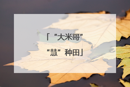 “大米哥”“慧”种田