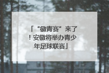 “徽青赛”来了！安徽将举办青少年足球联赛