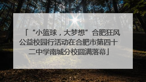“小篮球，大梦想”合肥狂风公益校园行活动在合肥市第四十二中学南城分校圆满落幕