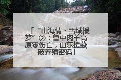 “山海情・雪域援梦”②：鲁中肉羊高原零伤亡，山东援藏破养殖密码