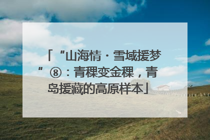 “山海情・雪域援梦”⑧：青稞变金稞，青岛援藏的高原样本