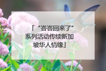 “峇峇回来了”系列活动传续新加坡华人情缘