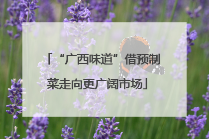 “广西味道”借预制菜走向更广阔市场
