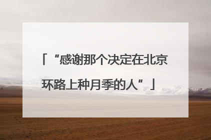 “感谢那个决定在北京环路上种月季的人”