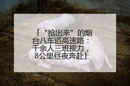 “抢出来”的烟台八车道高速路：千余人三班接力，8公里昼夜奔赴