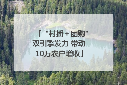 “村播＋团购”双引擎发力 带动10万农户增收