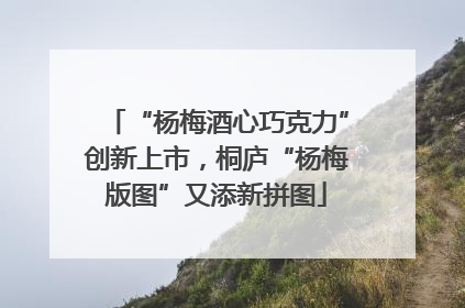 “杨梅酒心巧克力”创新上市，桐庐“杨梅版图”又添新拼图