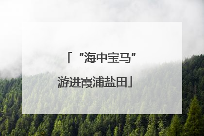 “海中宝马”游进霞浦盐田