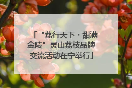 “荔行天下・甜满金陵”灵山荔枝品牌交流活动在宁举行