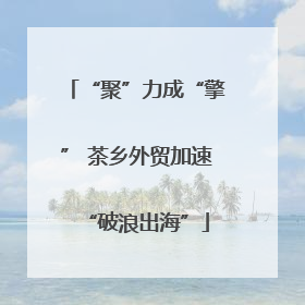 “聚”力成“擎” 茶乡外贸加速“破浪出海”