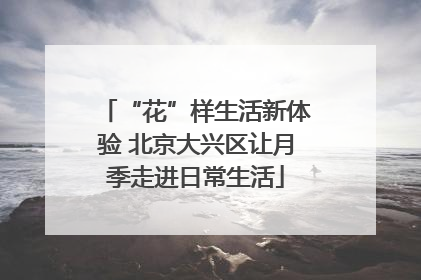 “花”样生活新体验 北京大兴区让月季走进日常生活