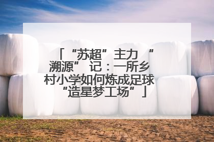 “苏超”主力 “溯源” 记：一所乡村小学如何炼成足球 “造星梦工场”