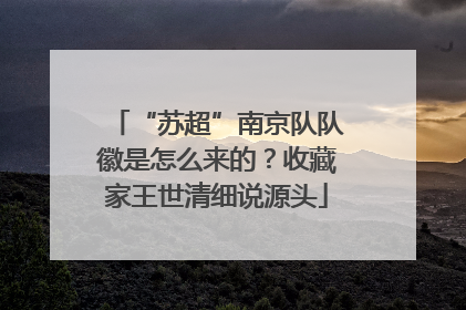 “苏超”南京队队徽是怎么来的？收藏家王世清细说源头