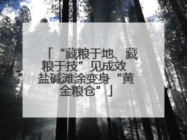 “藏粮于地、藏粮于技”见成效 盐碱滩涂变身“黄金粮仓”