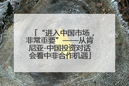 “进入中国市场，非常重要”——从肯尼亚-中国投资对话会看中非合作机遇