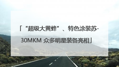 “超级大黄蜂”、特色涂装苏-30MKM 众多明星装备亮相