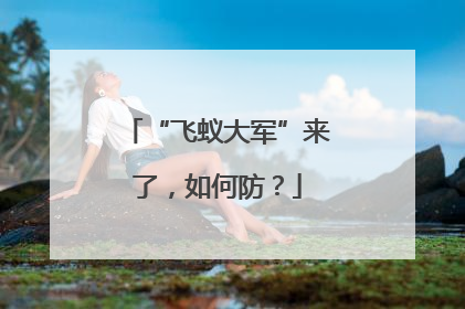 “飞蚁大军”来了，如何防？