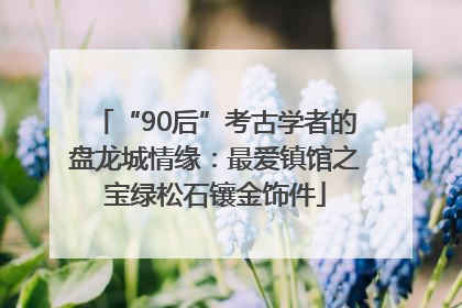 “90后”考古学者的盘龙城情缘：最爱镇馆之宝绿松石镶金饰件
