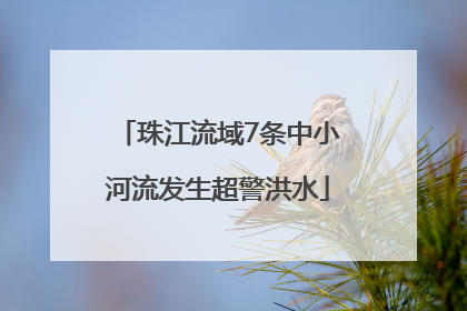 珠江流域7条中小河流发生超警洪水