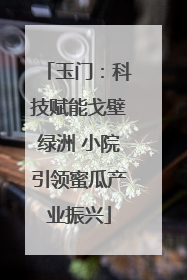玉门：科技赋能戈壁绿洲 小院引领蜜瓜产业振兴
