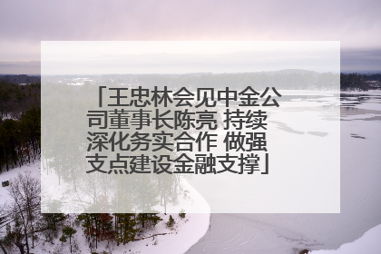 王忠林会见中金公司董事长陈亮 持续深化务实合作 做强支点建设金融支撑