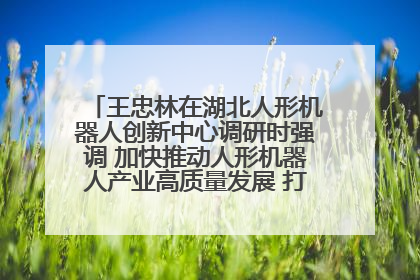 王忠林在湖北人形机器人创新中心调研时强调 加快推动人形机器人产业高质量发展 打造具有全国影响力的研发创新基地