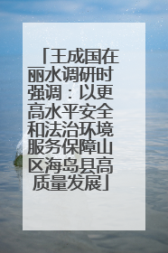王成国在丽水调研时强调：以更高水平安全和法治环境服务保障山区海岛县高质量发展