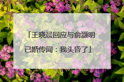 王晓晨回应与俞灏明已婚传闻：我头昏了