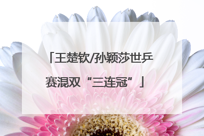 王楚钦/孙颖莎世乒赛混双“三连冠”